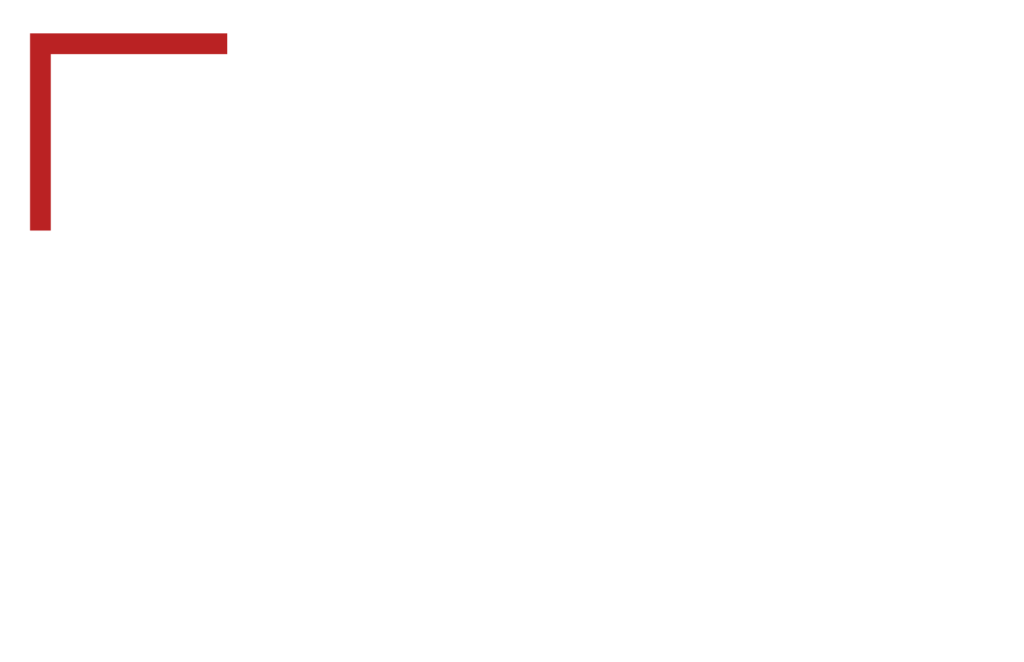 Logo InvestMatch biale przezroczyste
