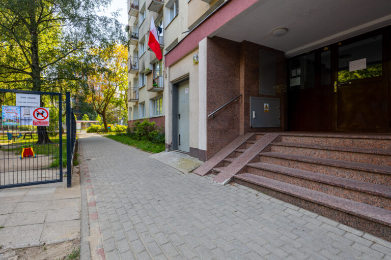 23153 112312946 raw