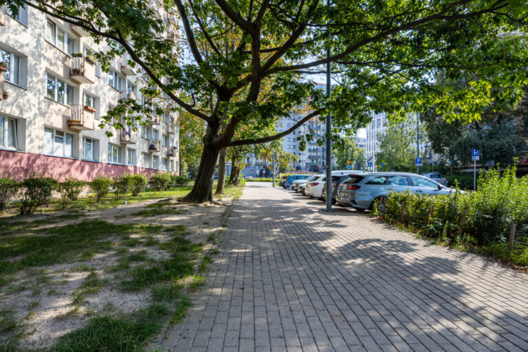 23153 112312955 raw