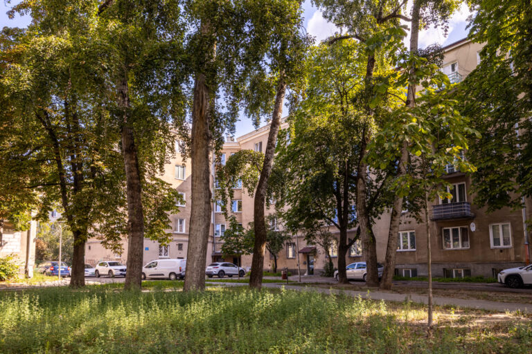 23153 113805410 raw
