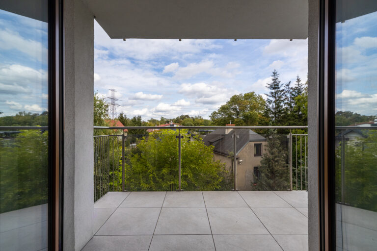23153 114954731 raw
