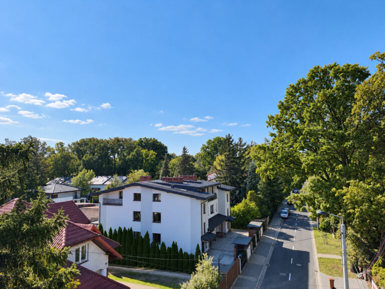 23153 116328194 raw
